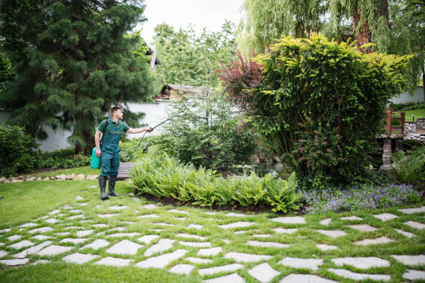 Best Pest Removal Services  in South Hempstead, NY