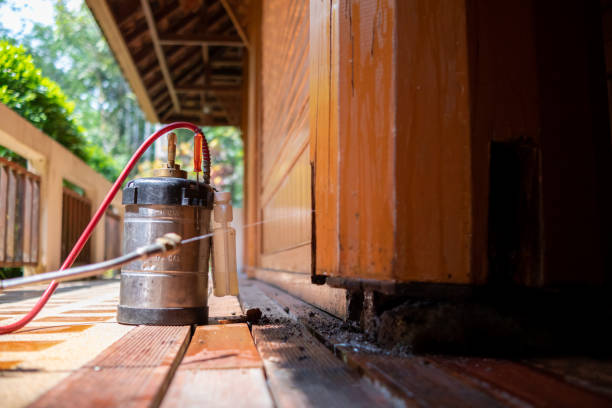 Best Best Pest Control Companies  in South Hempstead, NY